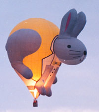 Special shape hot air balloon 