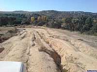 DSC00156.jpg